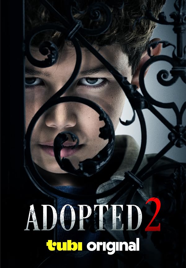 فیلم Adopted 2 2025 | فرزند خوانده ۲